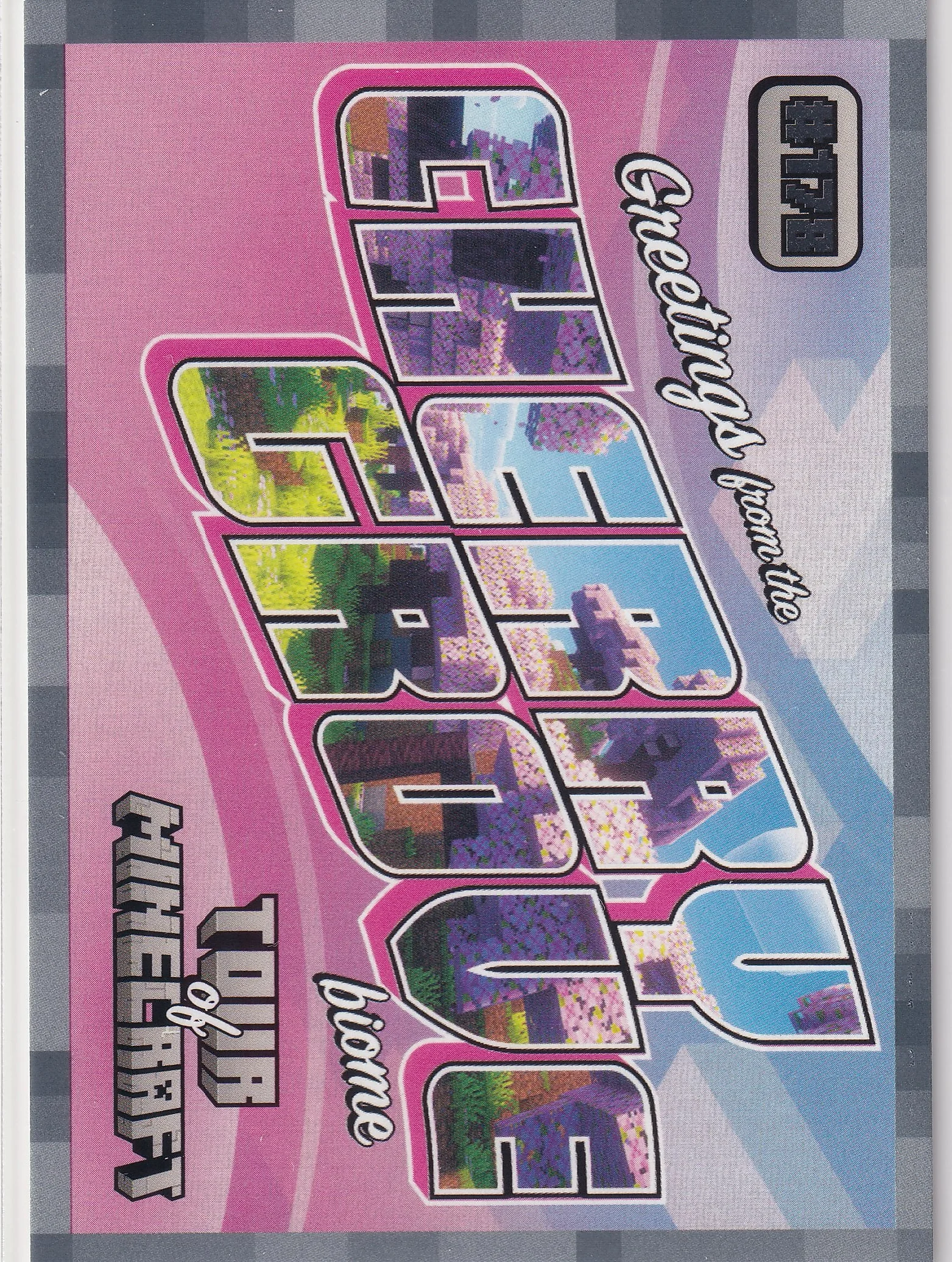 Cherry Grove 2024 Minecraft #178 Stone trading card - Front