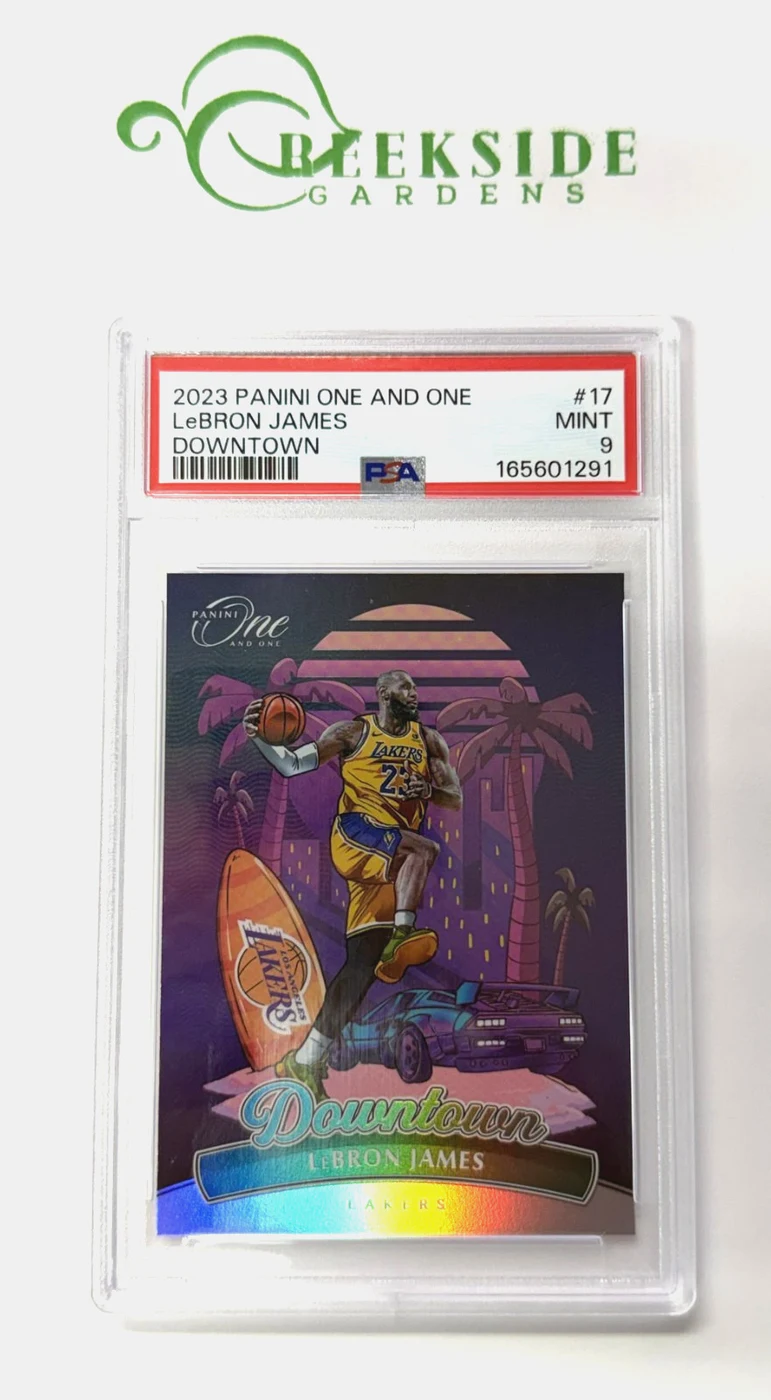 LeBron James #17 2023-24 Panini One and One Basketball Downtown PSA 9 front