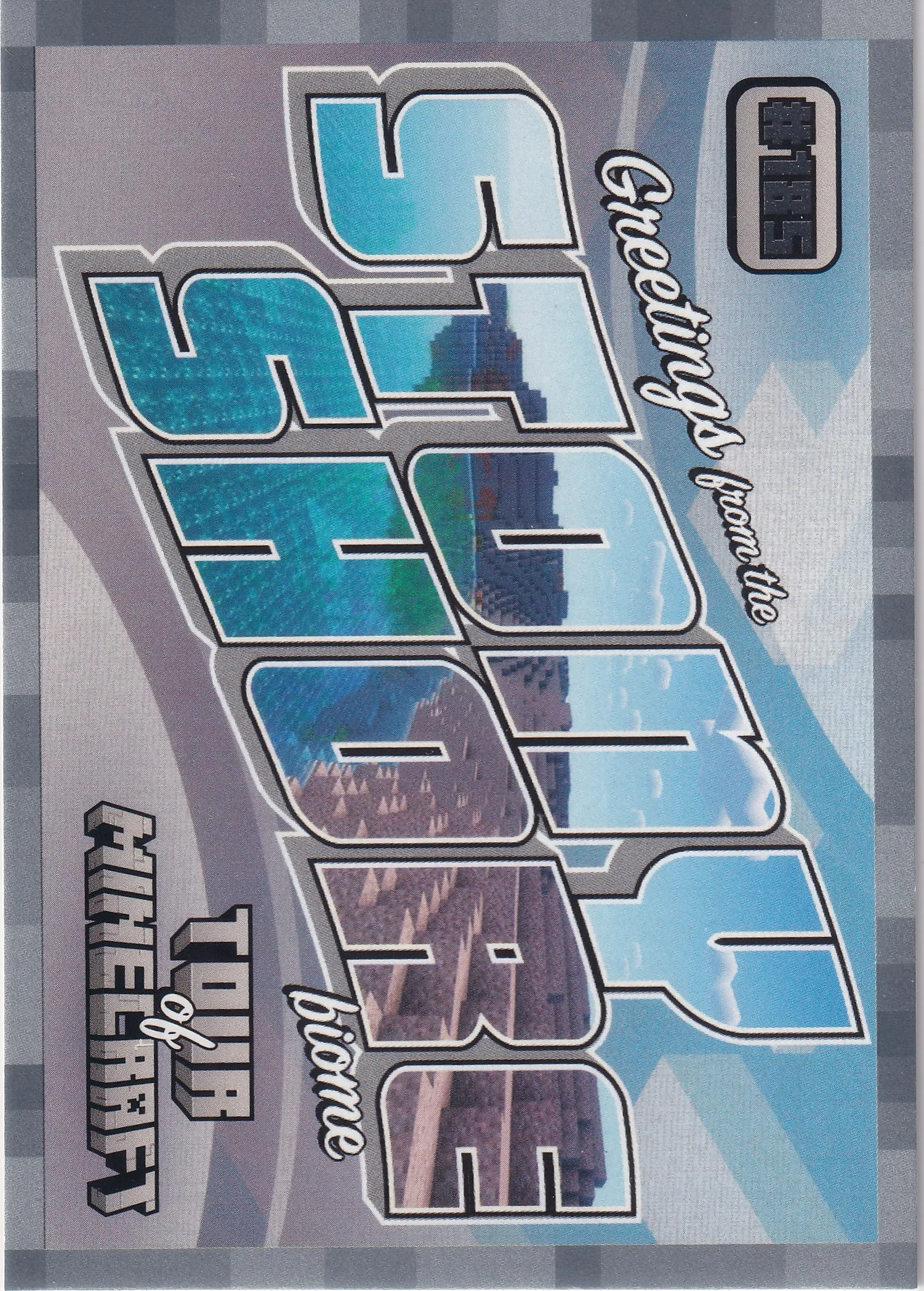 Stony Shore 2024 Minecraft #185 Stone trading card - Front
